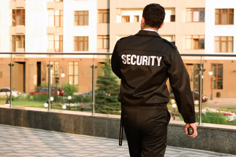 Professional security services